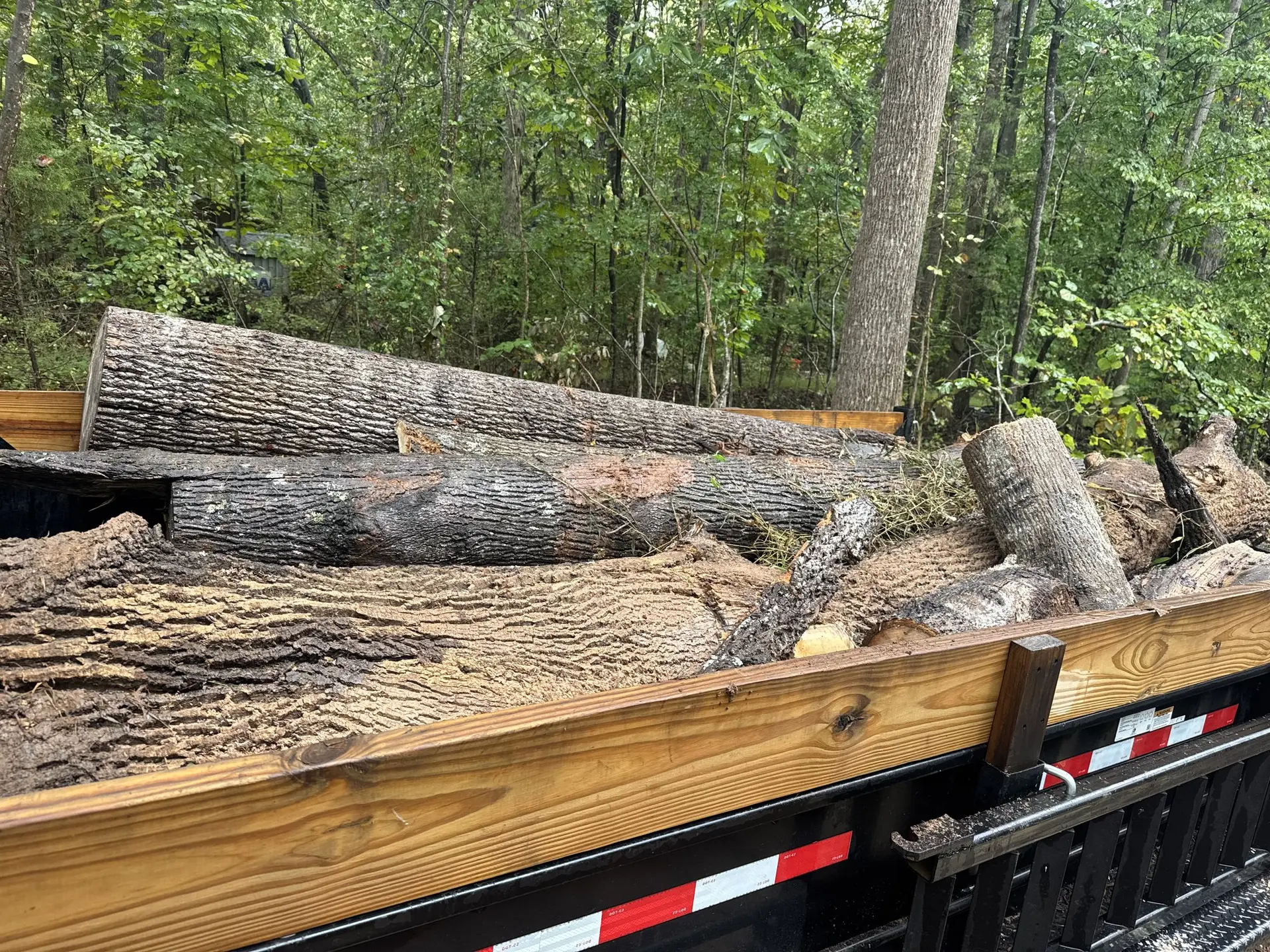 Tree Service
